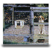 wireless-pet-fence